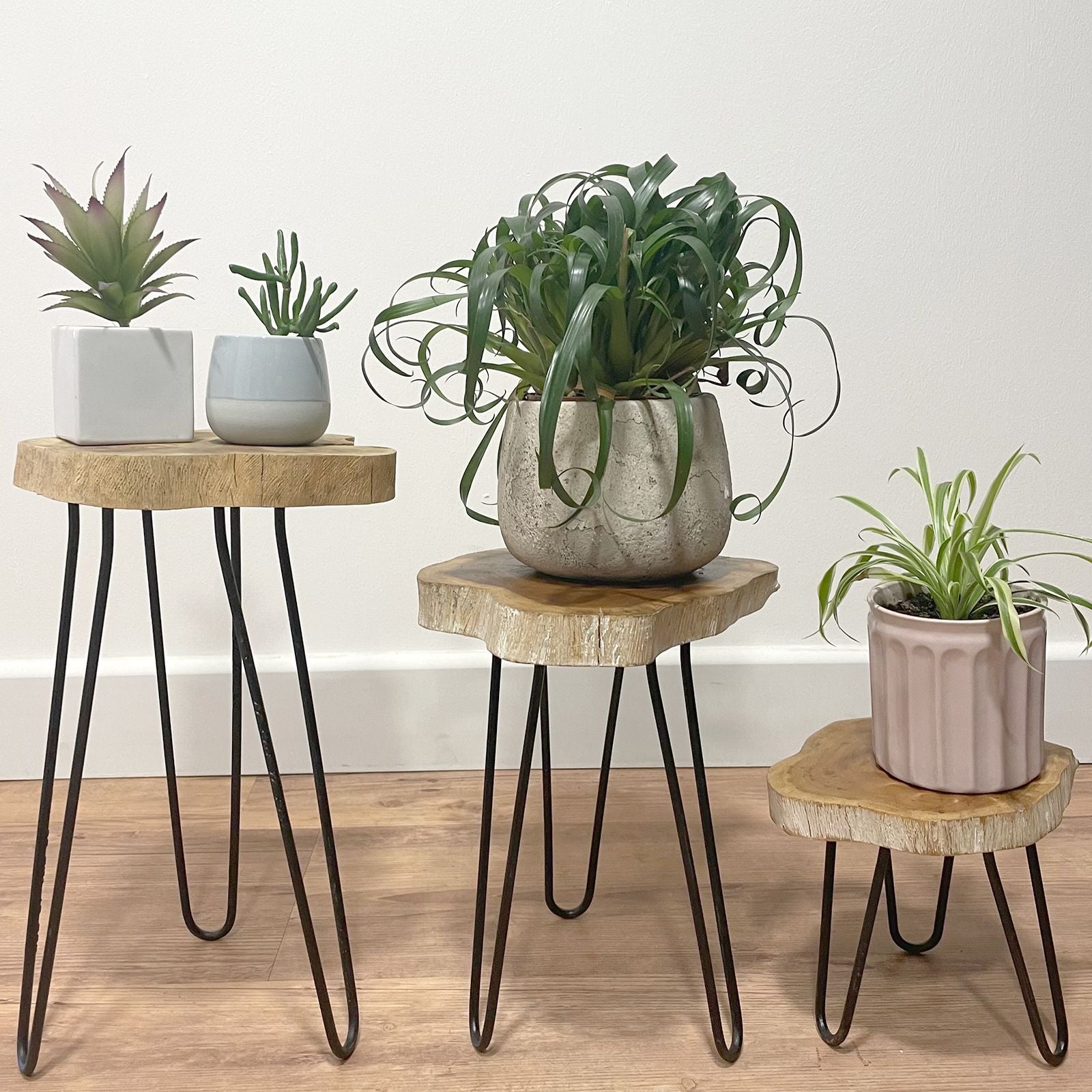 Set of 3 Gamell Wood Plant Stands - Whitewash