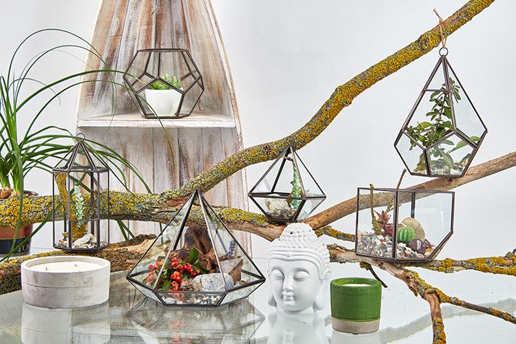 Glass Terrarium - Large Pyramid