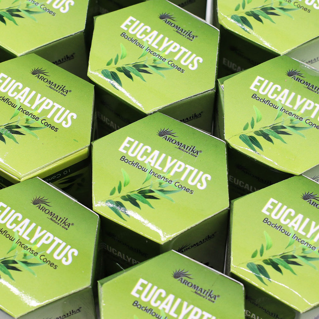 Masala Backflow Incense pack of 10 - Eucalyptus