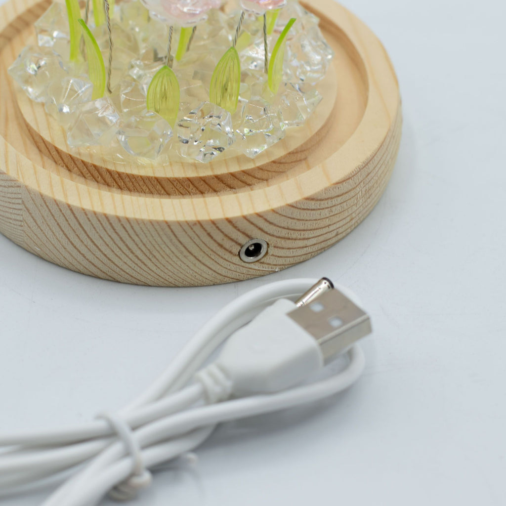 Floral Glow Garden Dome - 10 Pink Roses - LED USB