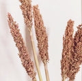 Cantal Grass Bunch - Rust