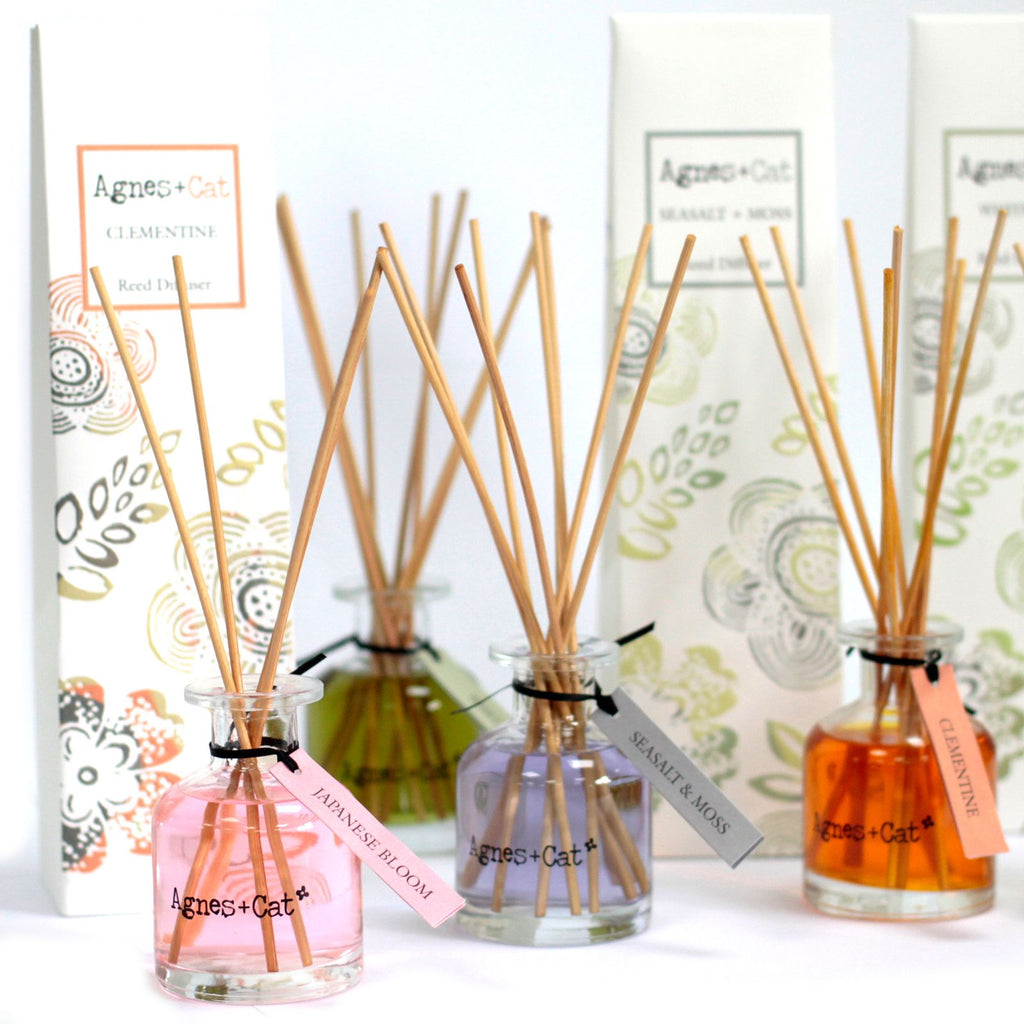 Box of 140ml Reed Diffuser - White Fig