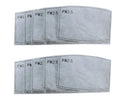 PM2.5 Face Covering Filter Insert (Adult)