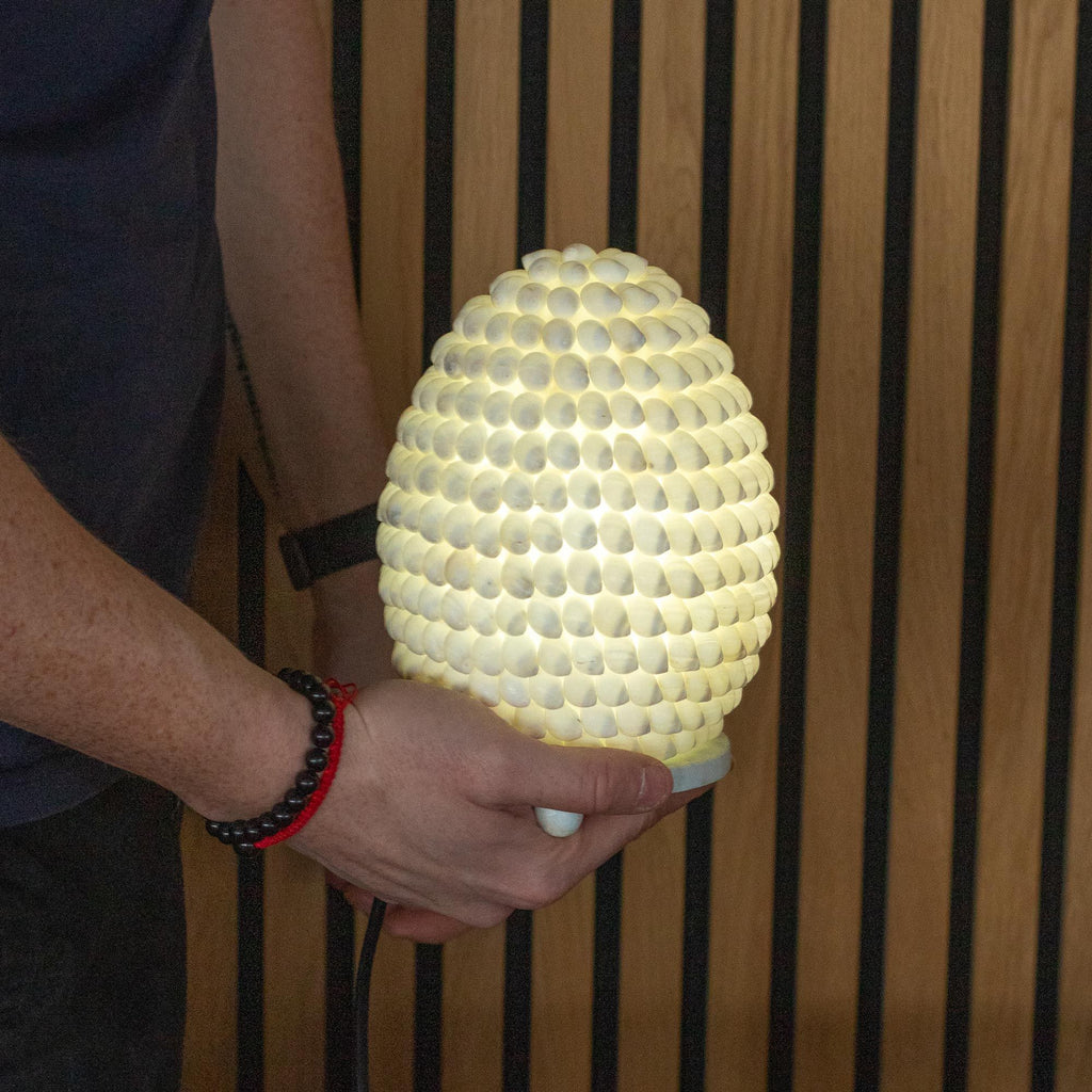 Boho Sea Shell Lamp - Buting Shell Oval - 15cm