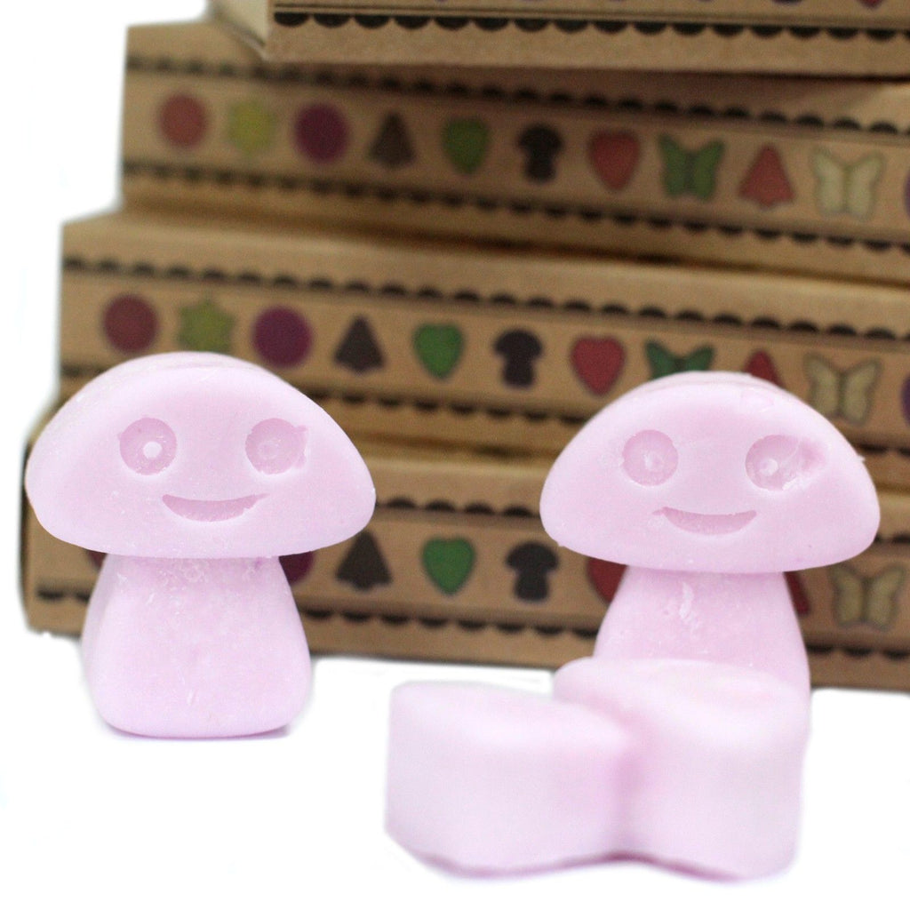 Gift Set of 6 Wax Melts  - Ylang Ylang
