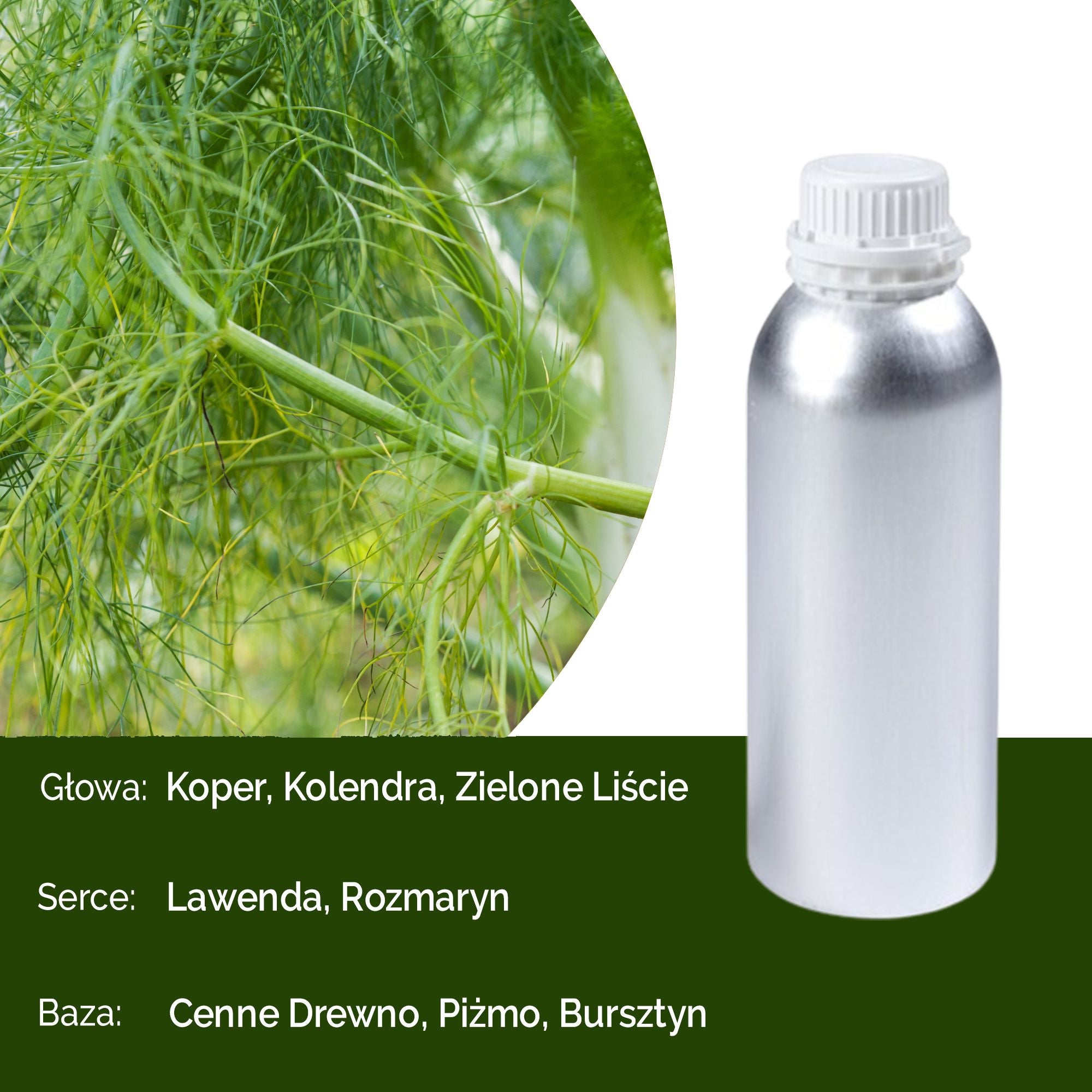 Sweet Fennel & Jojoba Fragrance Oil - 500ml